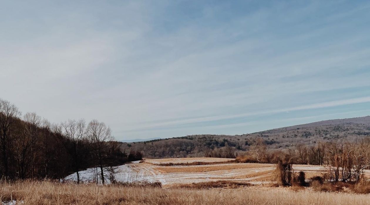 Buttercup Farm Audubon Sanctuary 